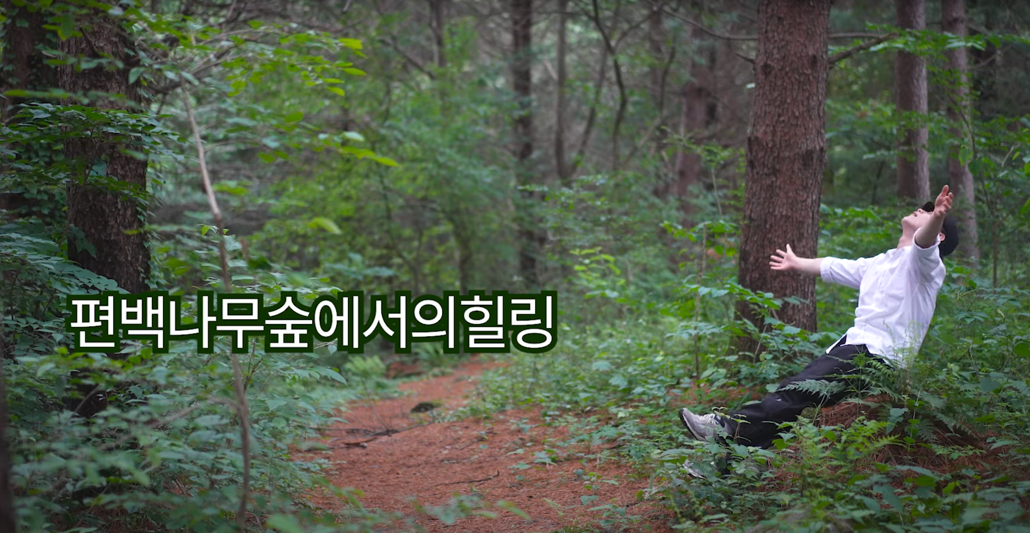 가평 초롱이둥지마을